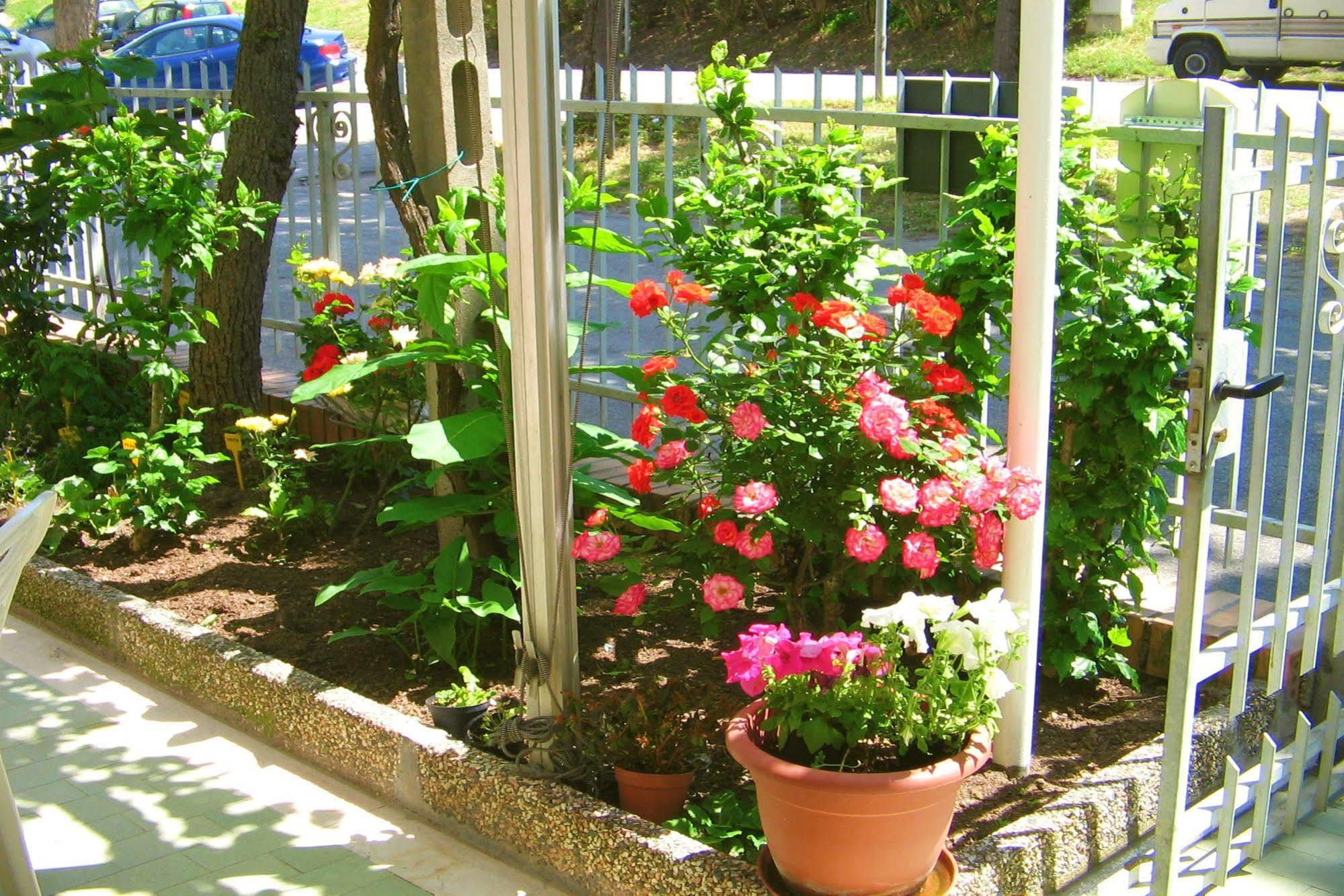Villa Lauda B&B Rimini Esterno foto